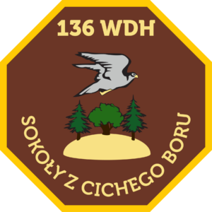 Logo - 136 Sokoły Logo - 136 Sokoły