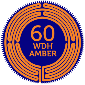 60 WDH Amber